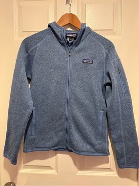 Women's Patagonia Light Blue Full‑Zip Hooded Fleece Jacket